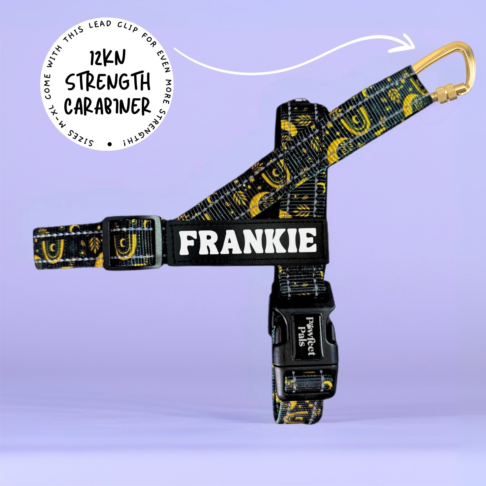 Midnight Sky - Personalised Strap Harness Duo