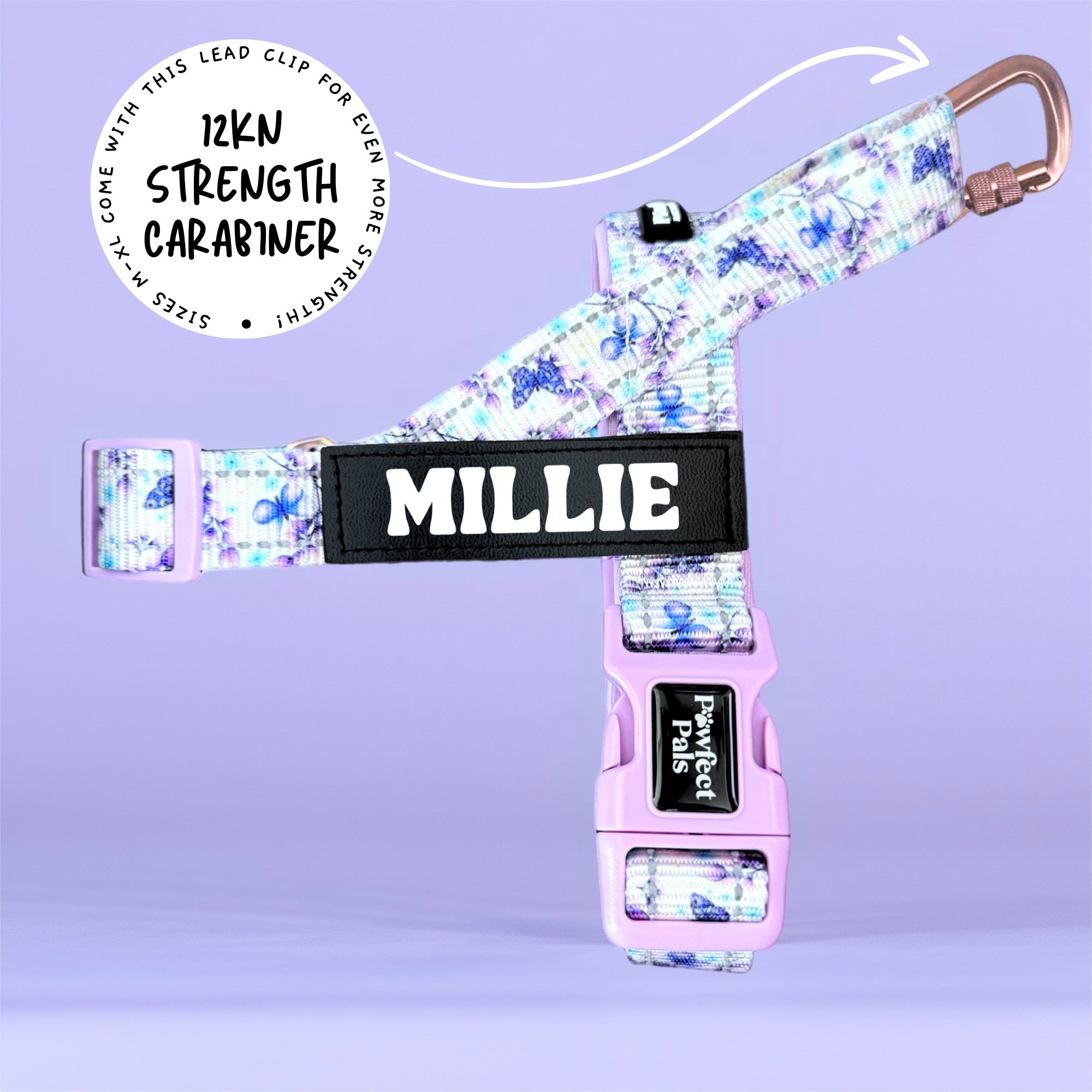 Social Butterfly - Personalised Strap Harness
