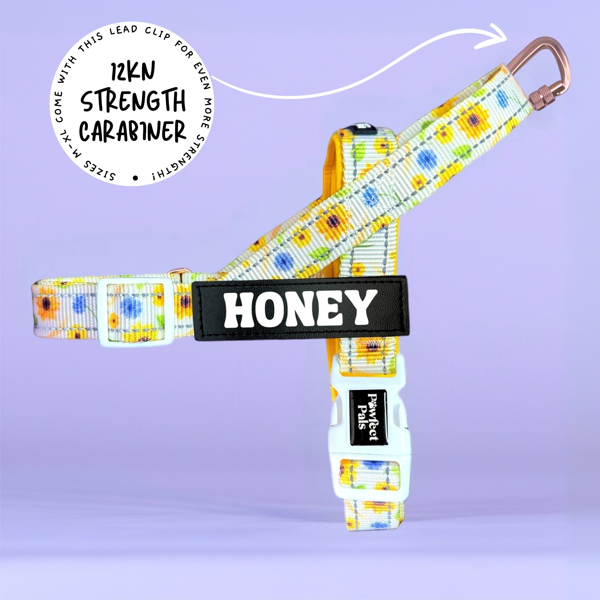 Sunshine on my Mind - Personalised Strap Harness Trio