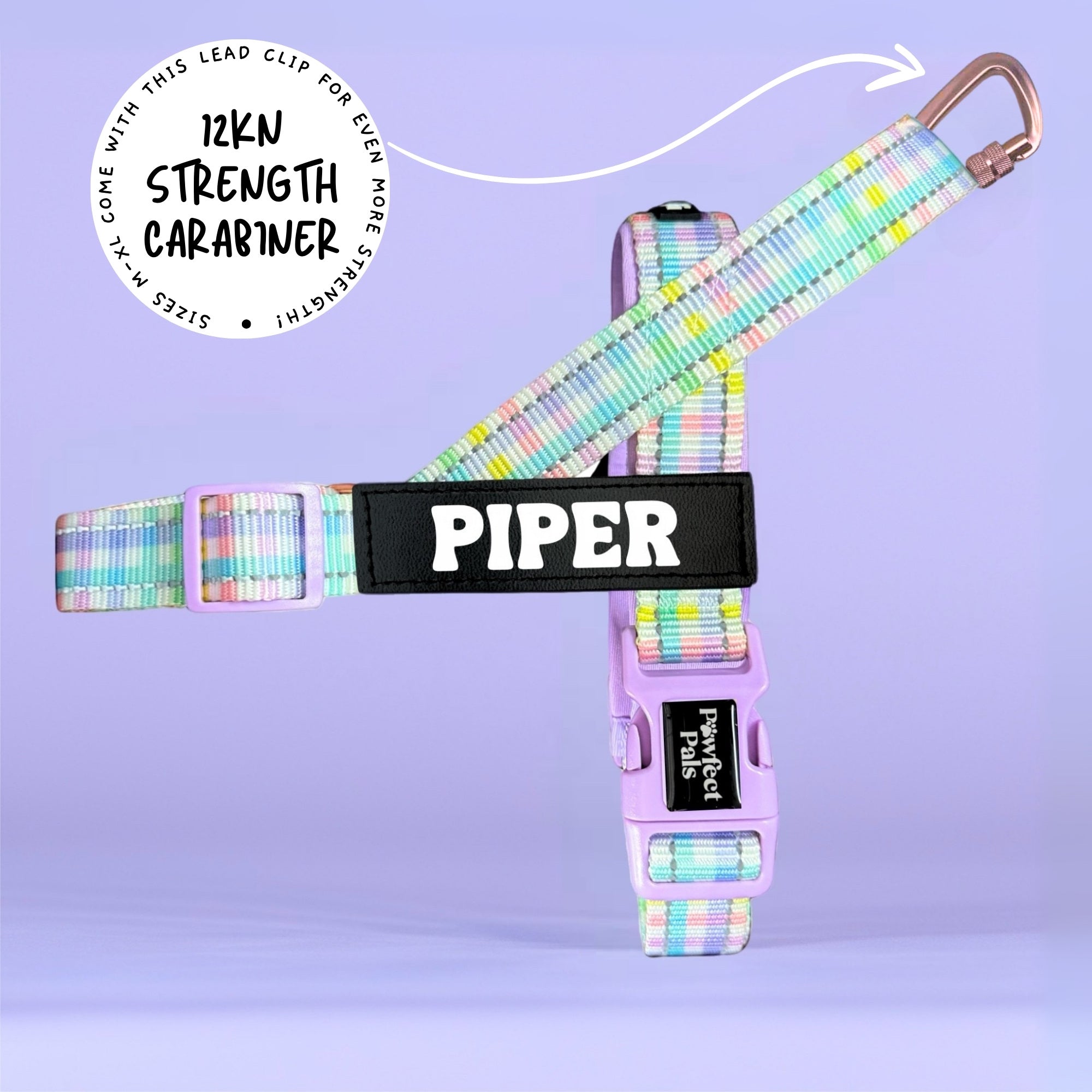 Once and Flor-All - Rainbow Gingham Personalised Strap Harness