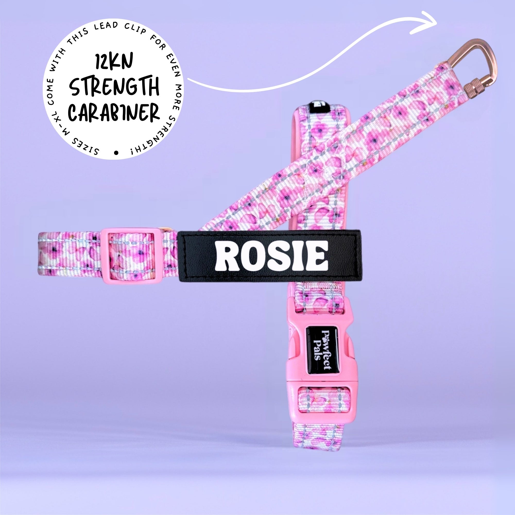 You Give me Butterflies - Personalised Strap Harness Trio