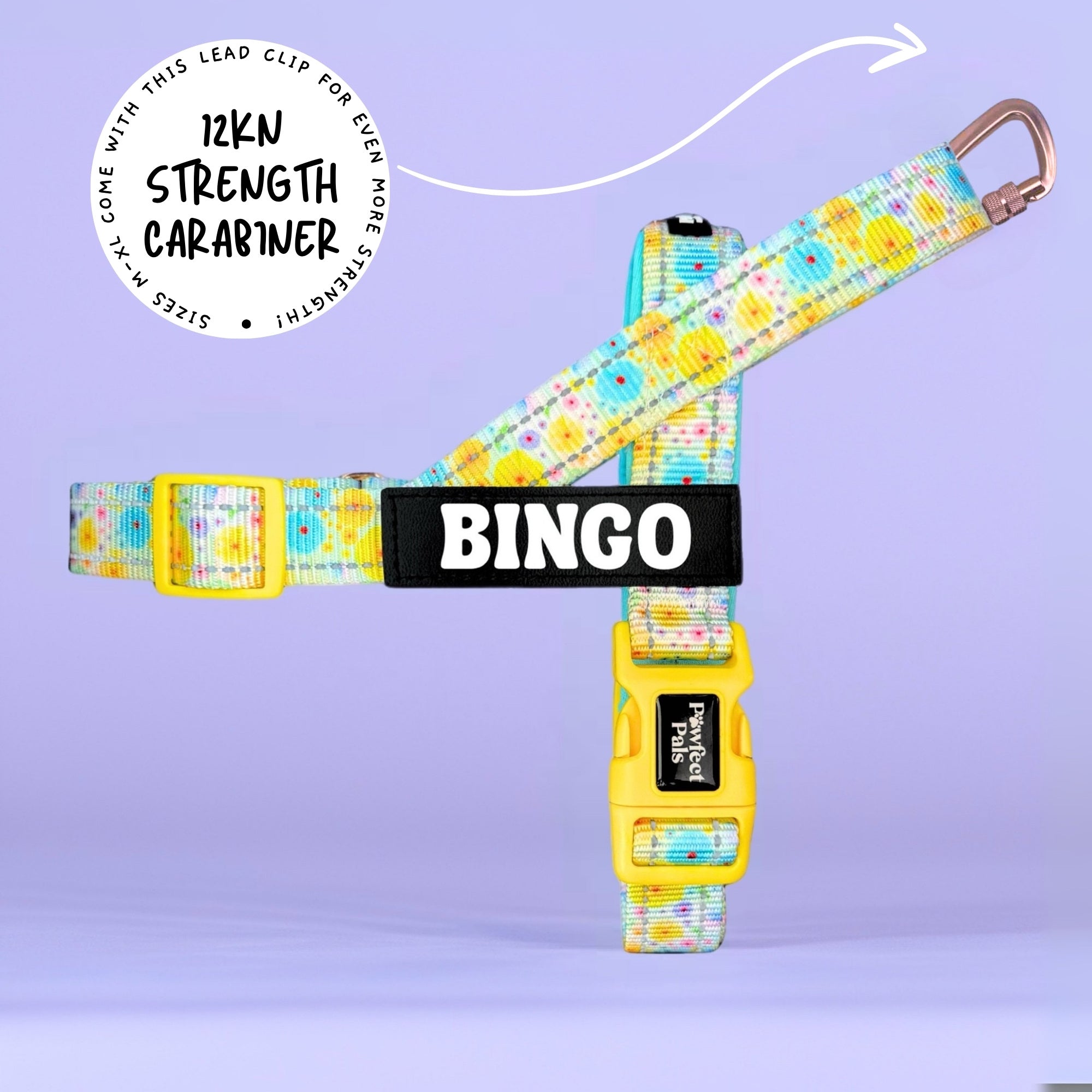 Once & Flor-All - Personalised Strap Harness