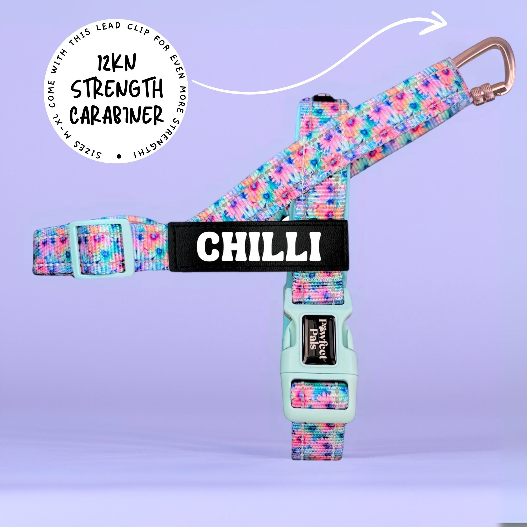Daydream Believer - Personalised Strap Harness