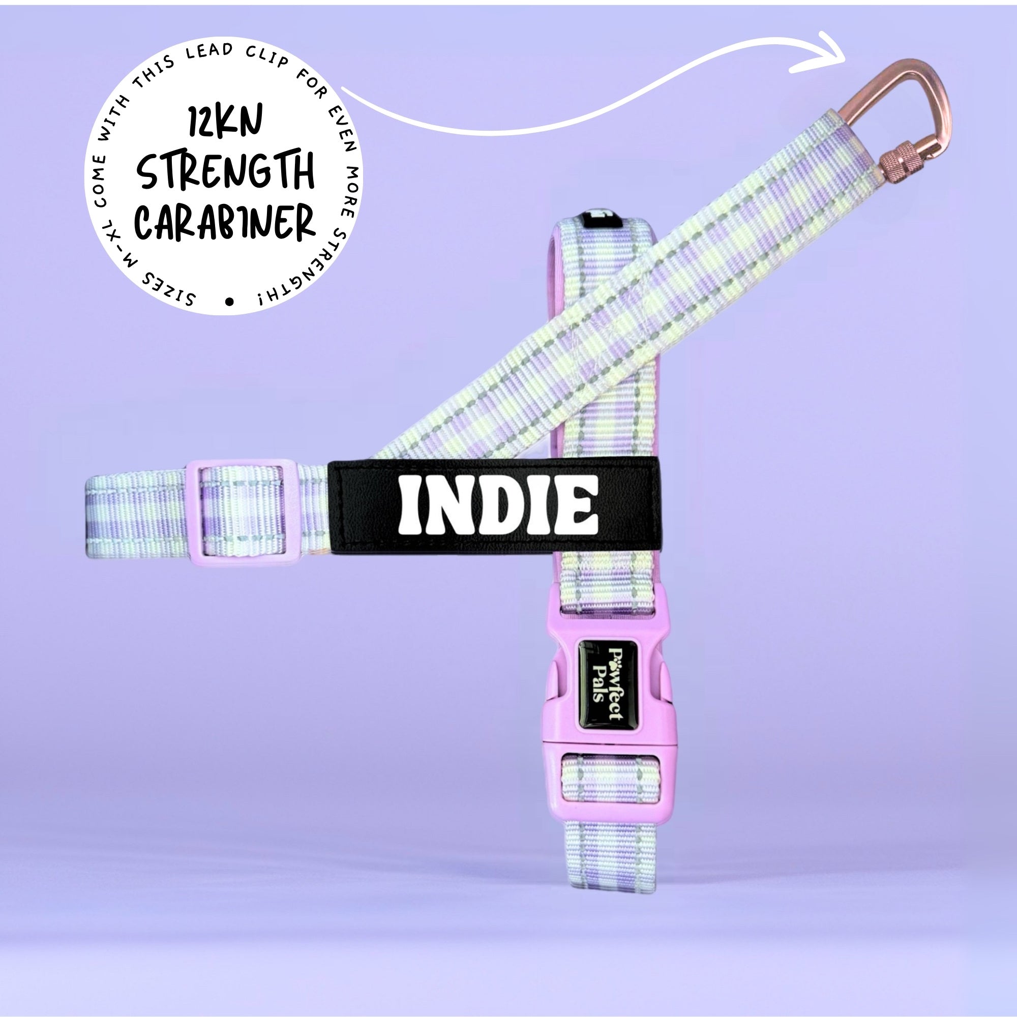 Purple Gingham - Personalised Strap Harness Duo
