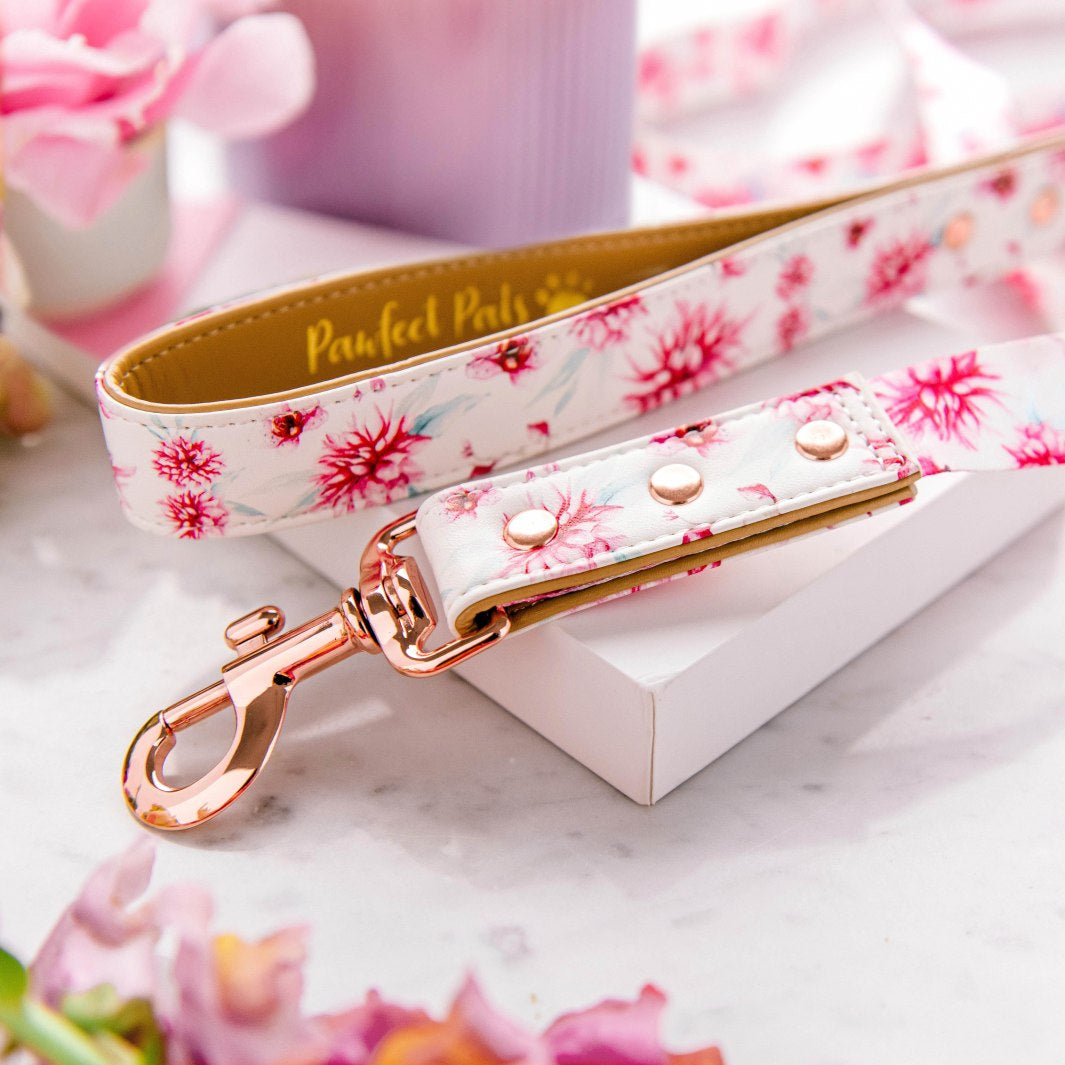 Vegan leather dog lead in the Pick of the Bunch Walkies Pack.