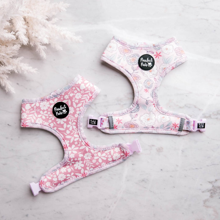 Reversible harness in the Precious Petal Walkies Pack.