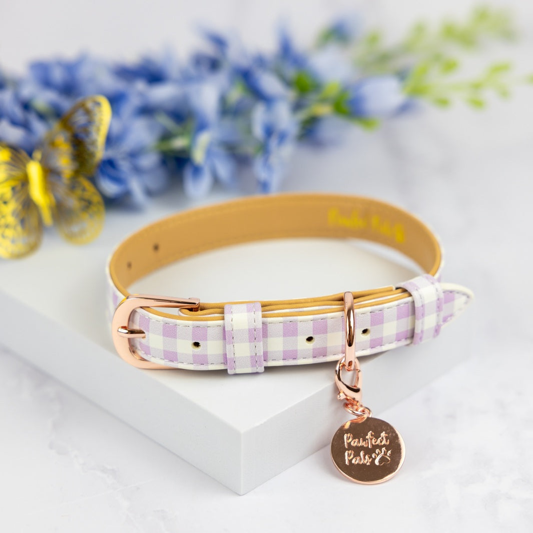 Vegan leather dog collar in the Purple Gingham Walkies Pack.