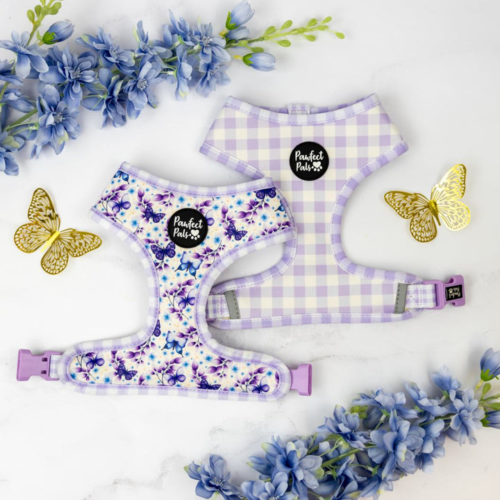 Reversible harness in the Purple Gingham Walkies Pack.