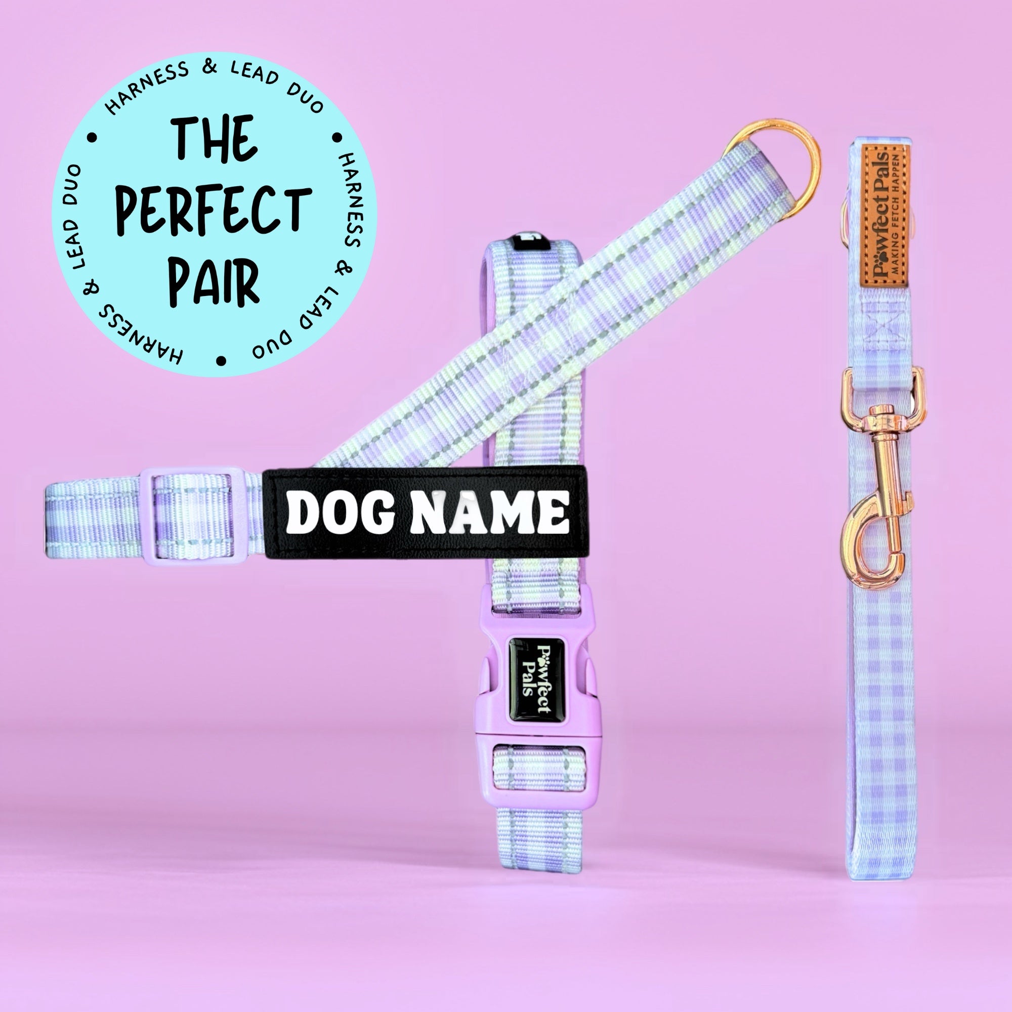 Purple Gingham - Personalised Strap Harness Duo