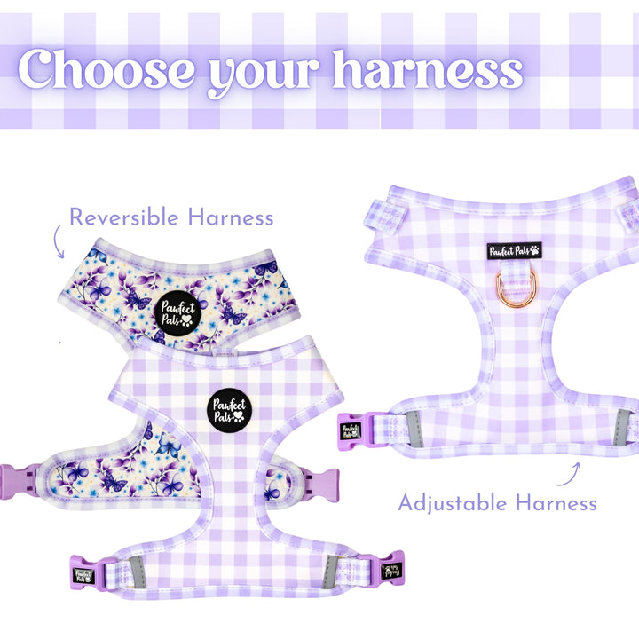 Social Butterfly - Purple Gingham Walkies Pack