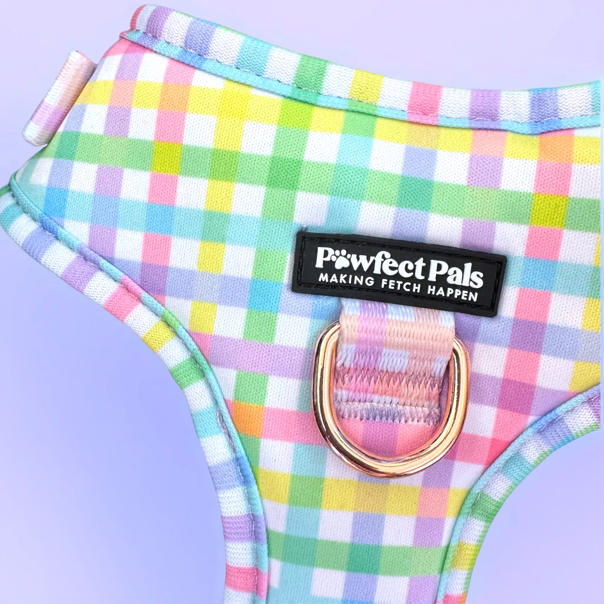 Rainbow Gingham - Personalised Adjustable Harness Trio