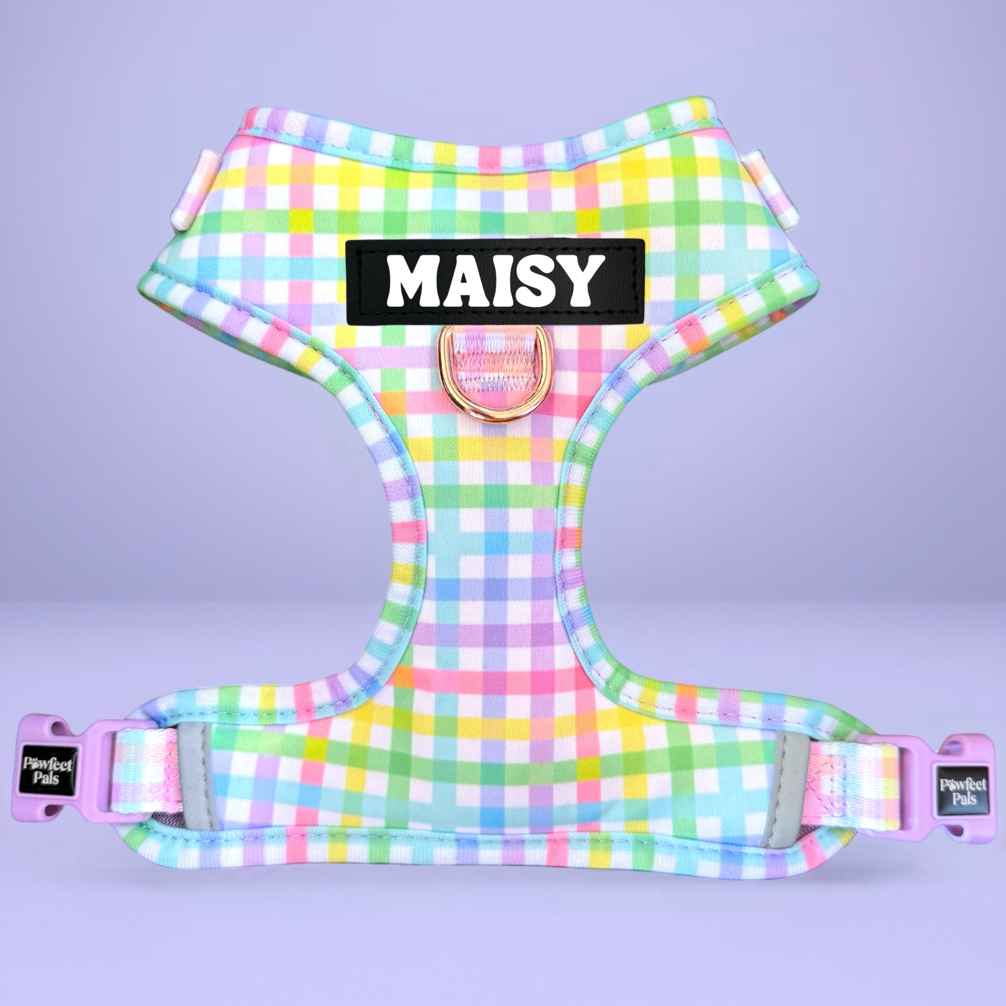 Rainbow Gingham - Personalised Adjustable Harness Trio