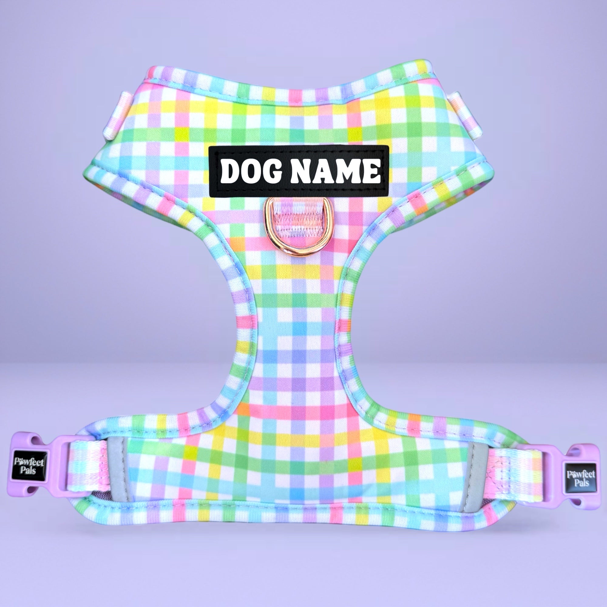 Rainbow Gingham - Personalised Adjustable Harness Trio