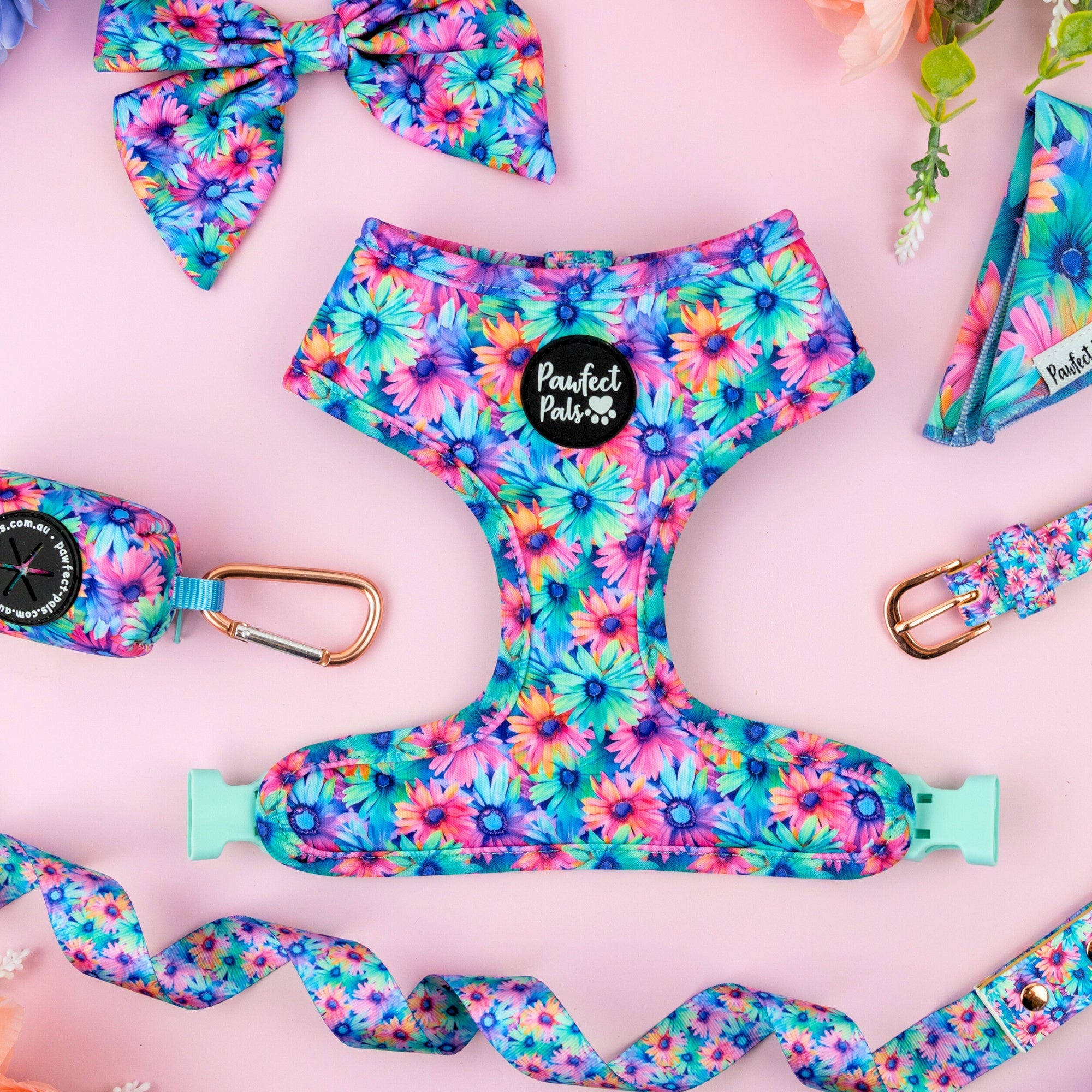 Daydream Believer Walkies Pack