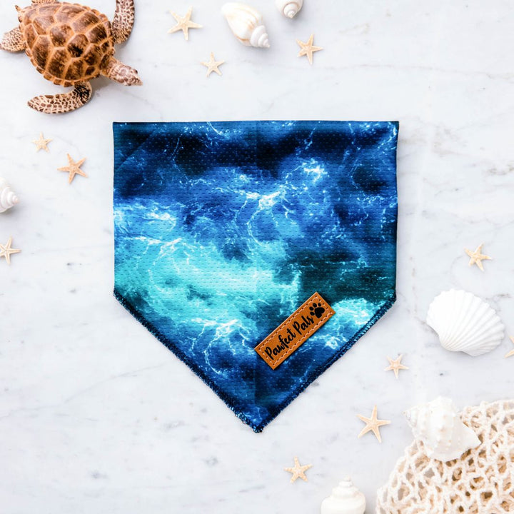 Cooling dog bandana in the Shell Yeah Walkies Pack.