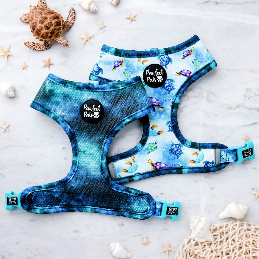 Reversible dog harness in the Shell Yeah Walkies Pack.