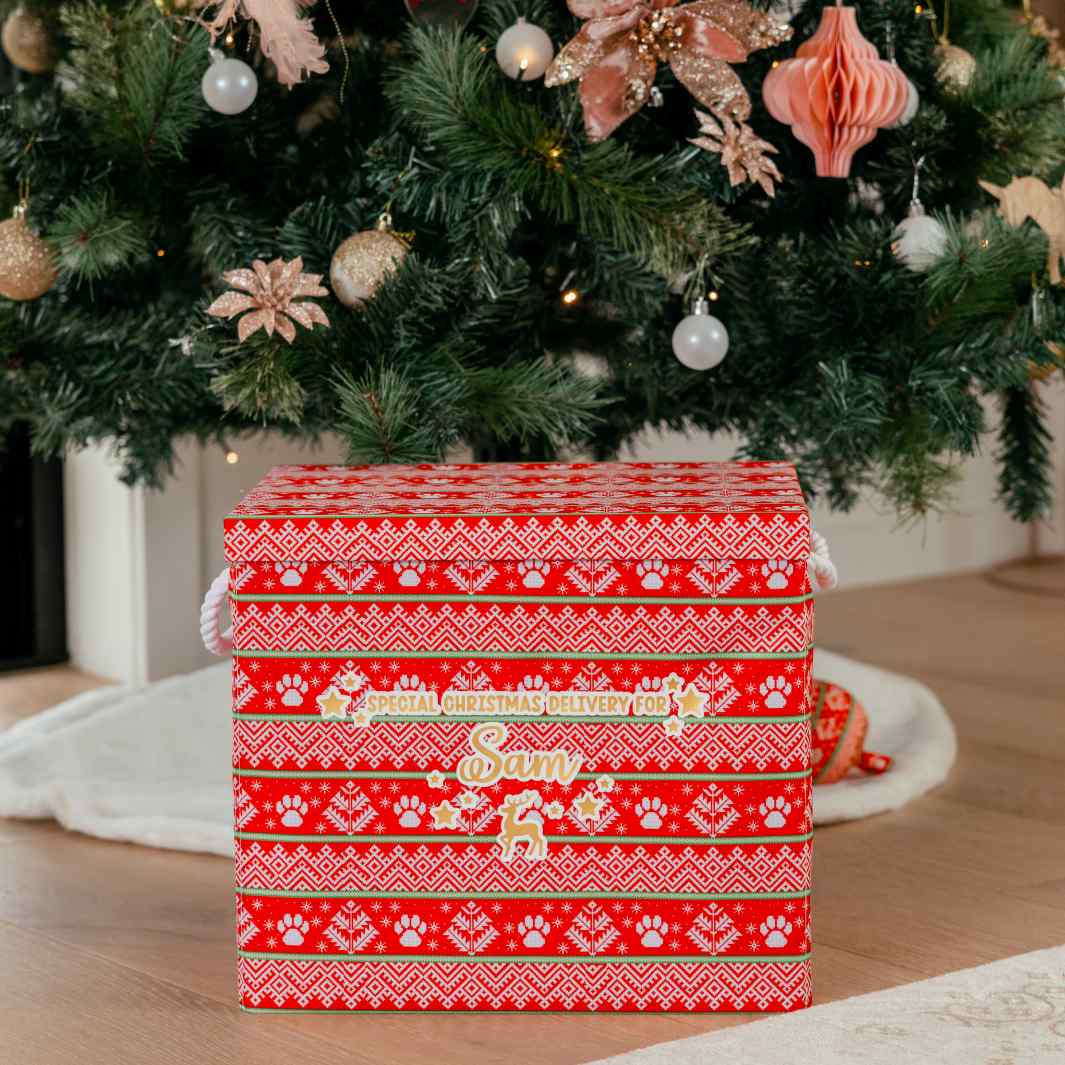 Sleigh-In It gift box with saying "Special Christmas Delivery for (Name)".