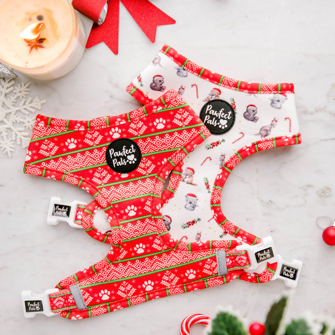 Reversible harness in the Sleigh-In It Walkies Pack.