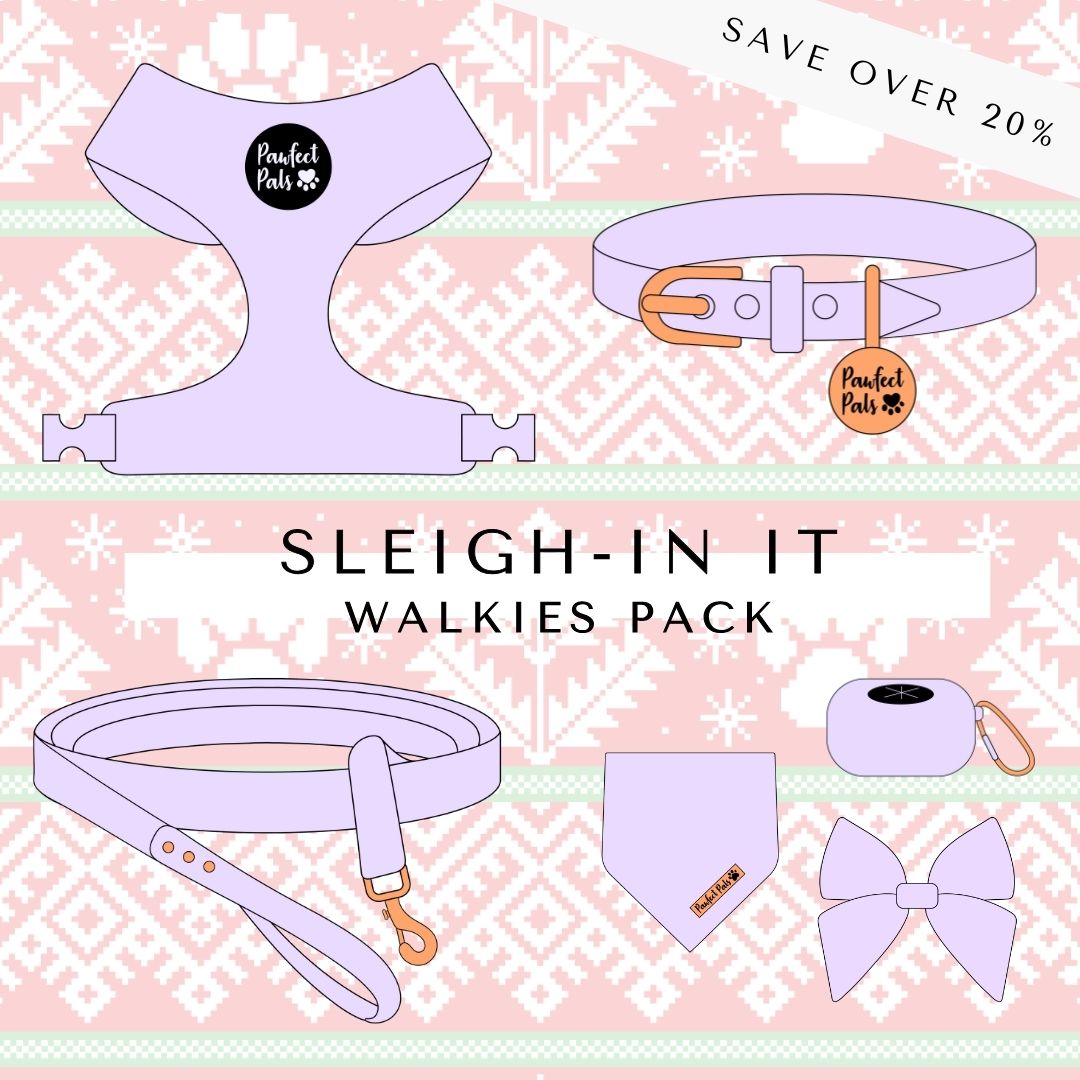 Sleigh-In It Walkies Pack.