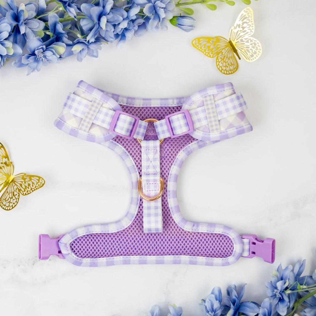 Underside of the Social Butterfly - Purple Gingham no-pull adjustable harness.
