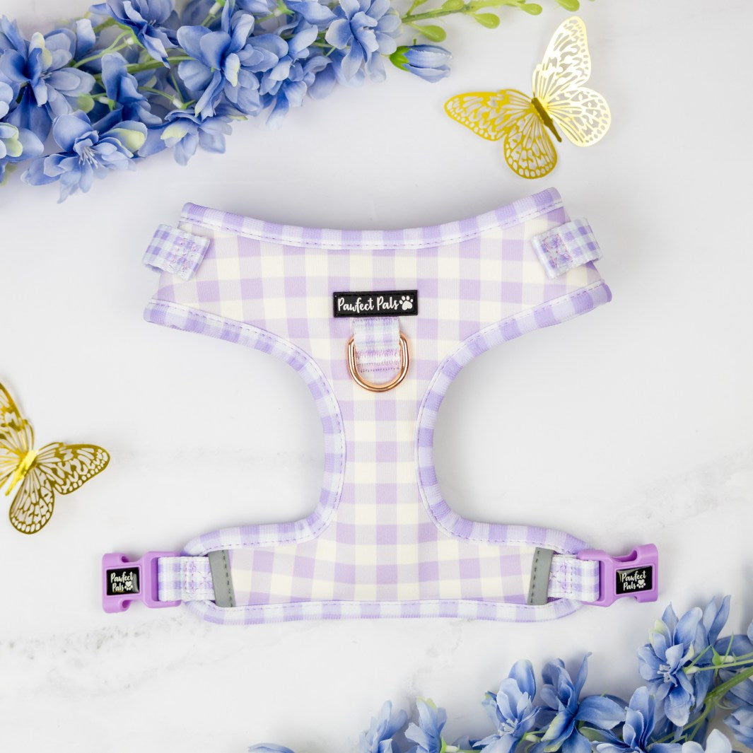 Social Butterfly - Purple Gingham no-pull adjustable harness.