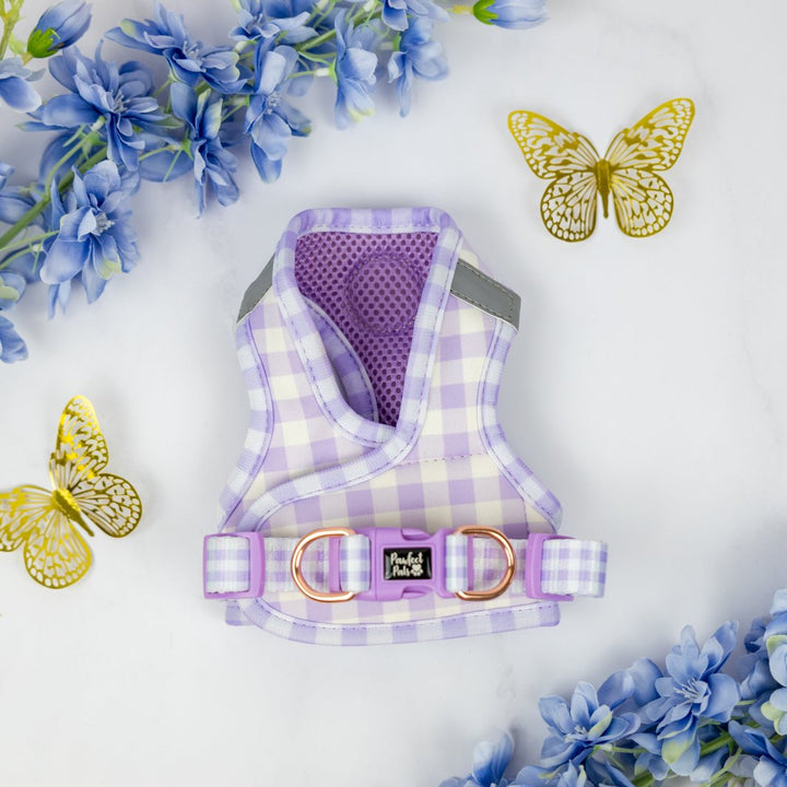 Underside of the Social Butterfly - Purple Gingham cat harness.