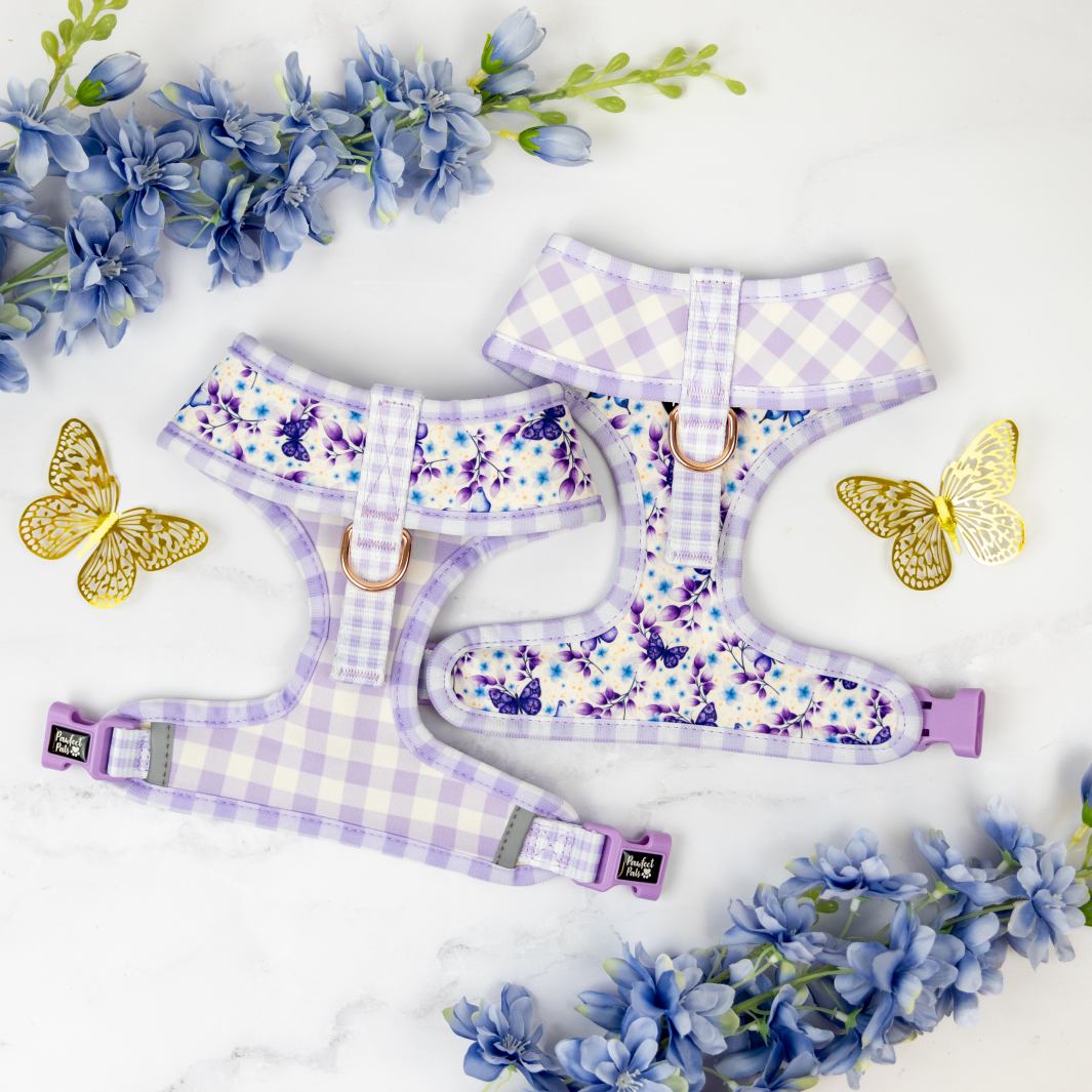 Underside of the Social Butterfly reversible harness.