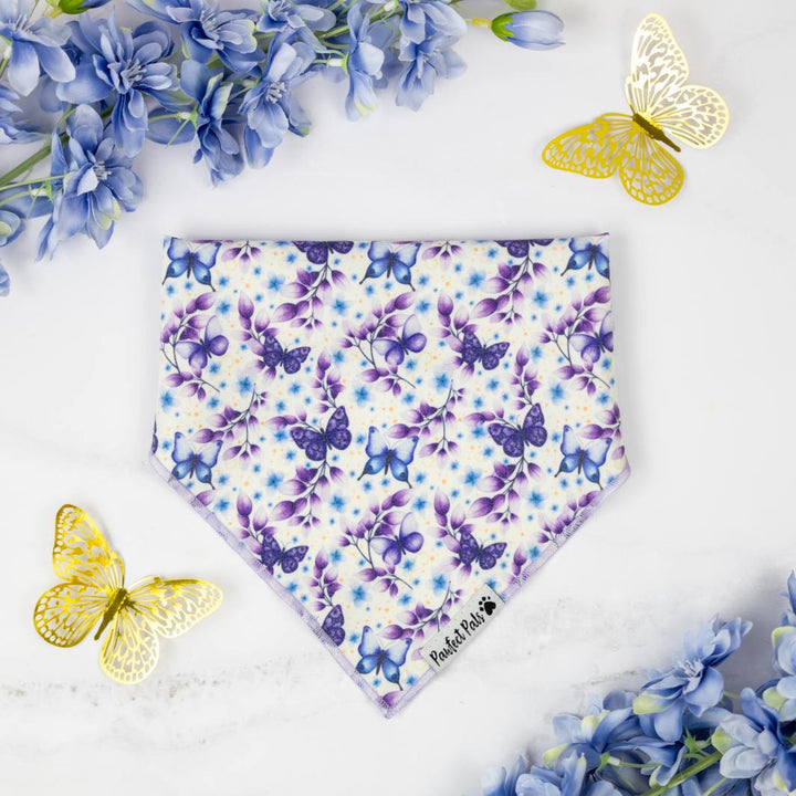 Bandana in the Social Butterfly Walkies Pack.