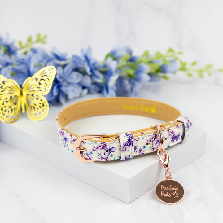 Vegan leather dog collar in the Social Butterfly Walkies Pack.