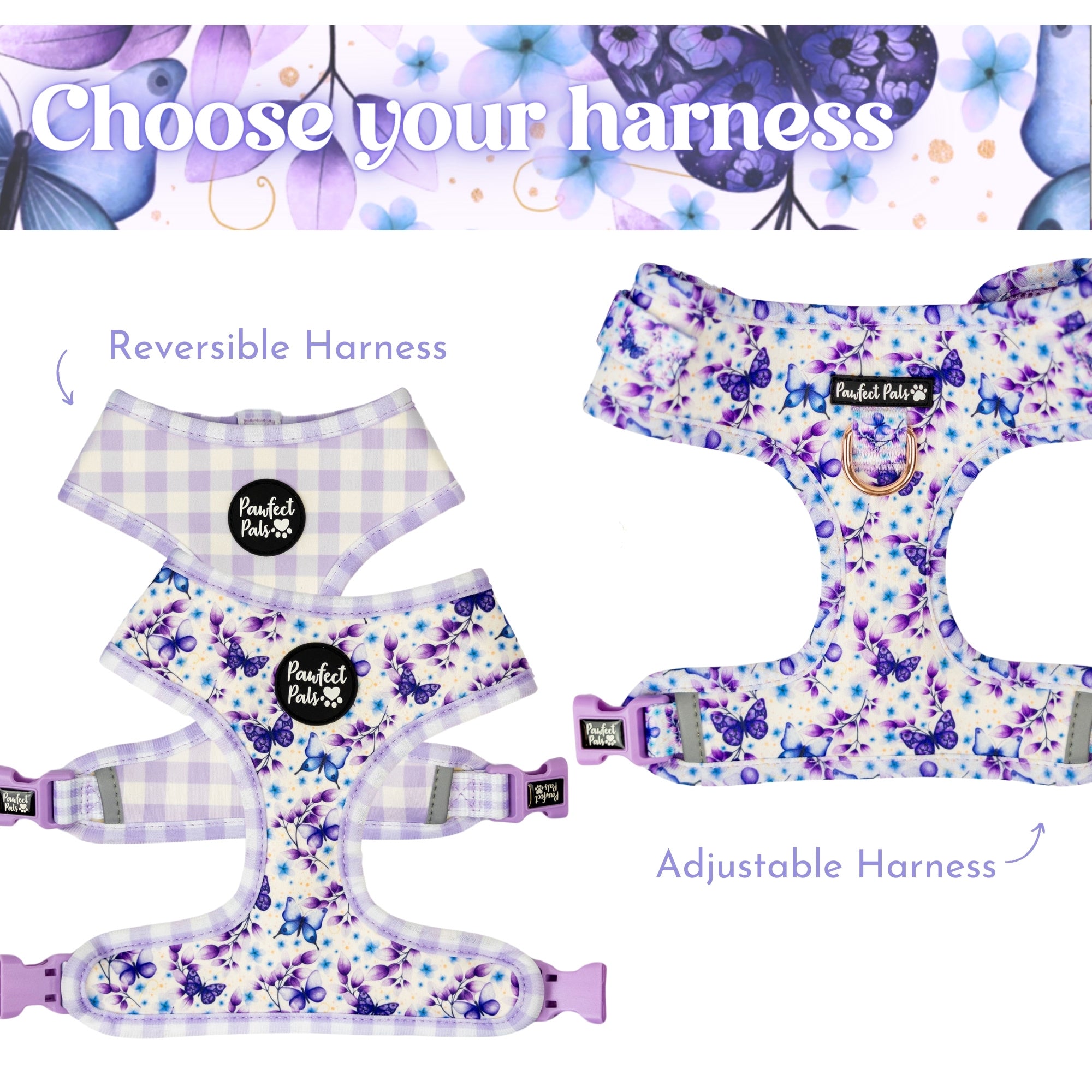 Social Butterfly Walkies Pack