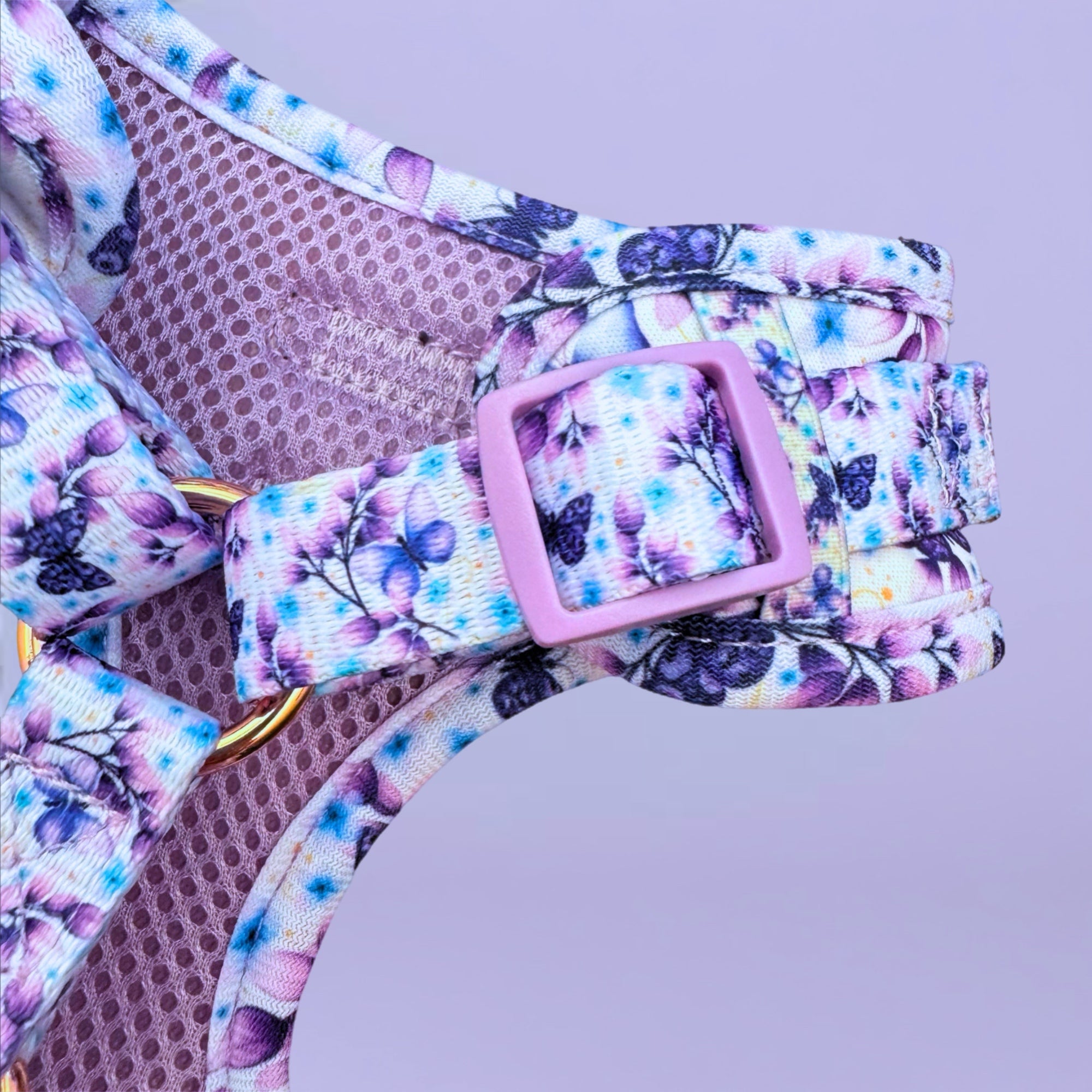 Social Butterfly - Personalised Adjustable Harness Trio