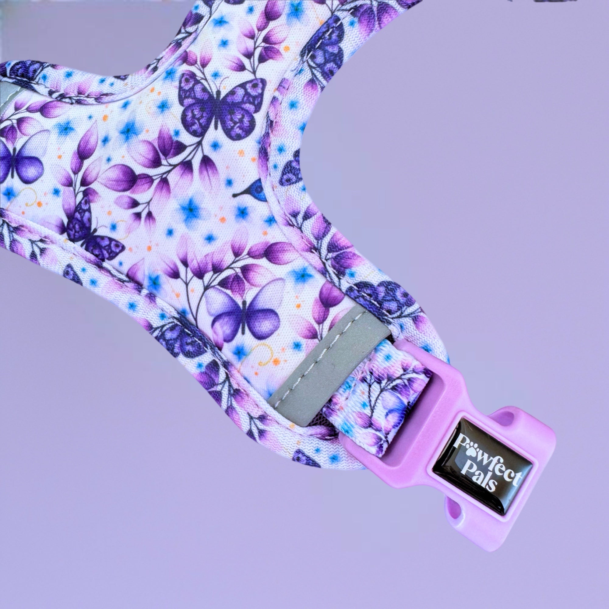 Social Butterfly - Personalised Adjustable Harness Trio