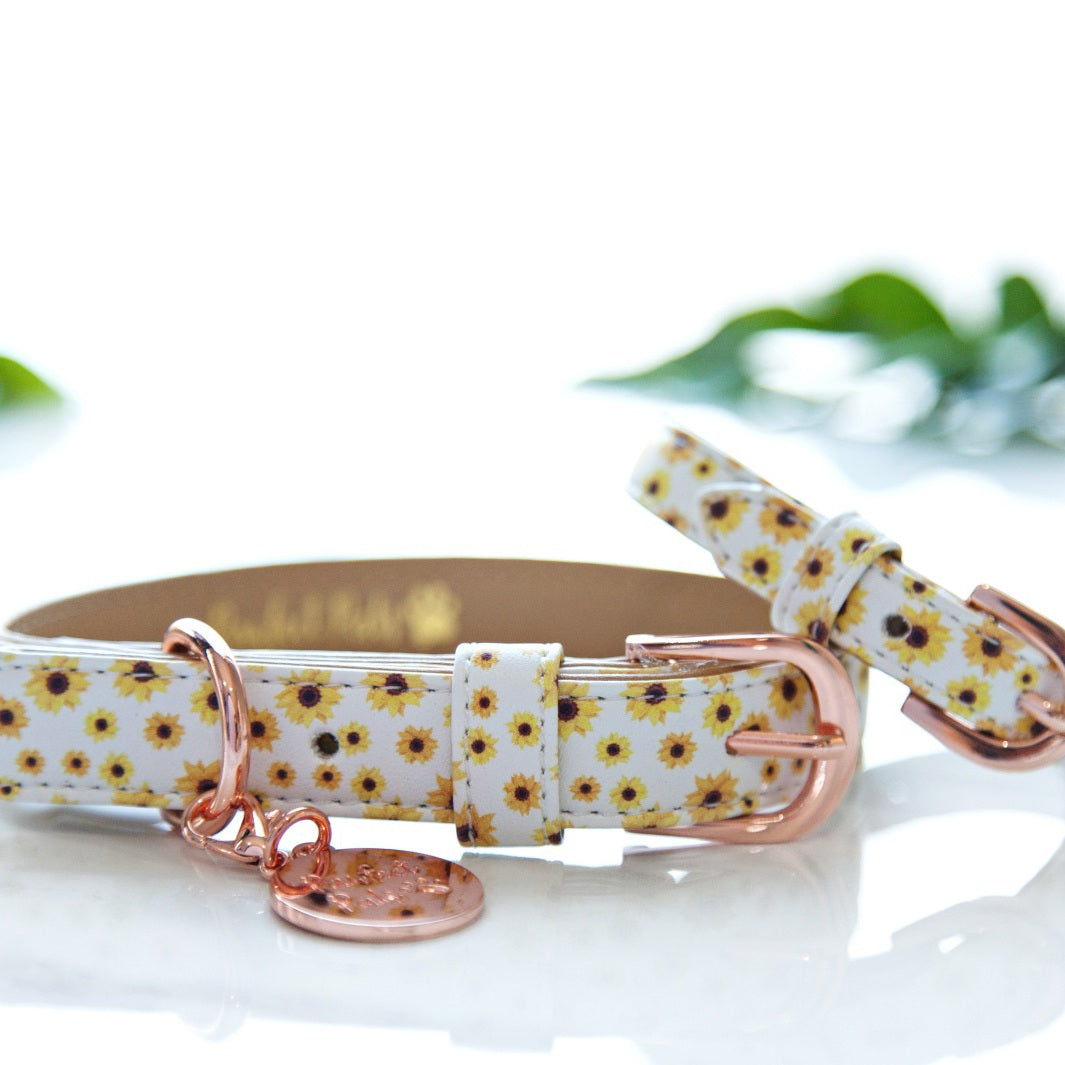 Sunshine on my Mind collar with matching bracelet.