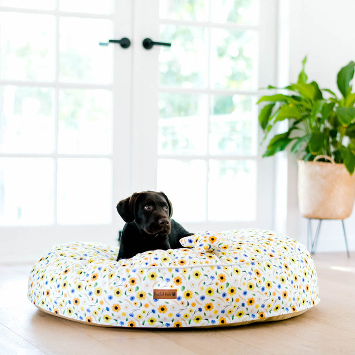 Sunshine on my Mind cuddle bud dog bed in large.