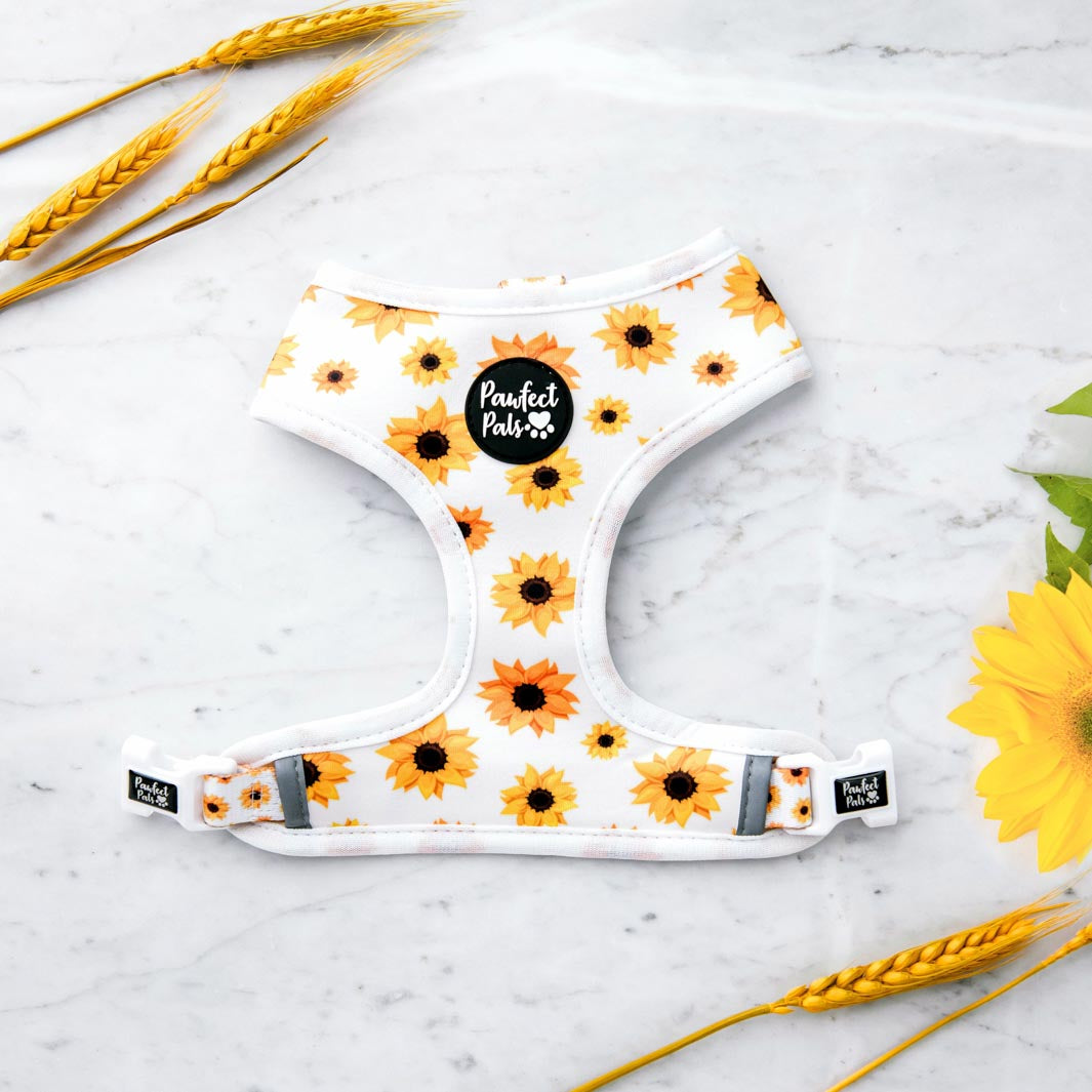 Sunflowers side of the Sunshine on my Mind reversible harness.