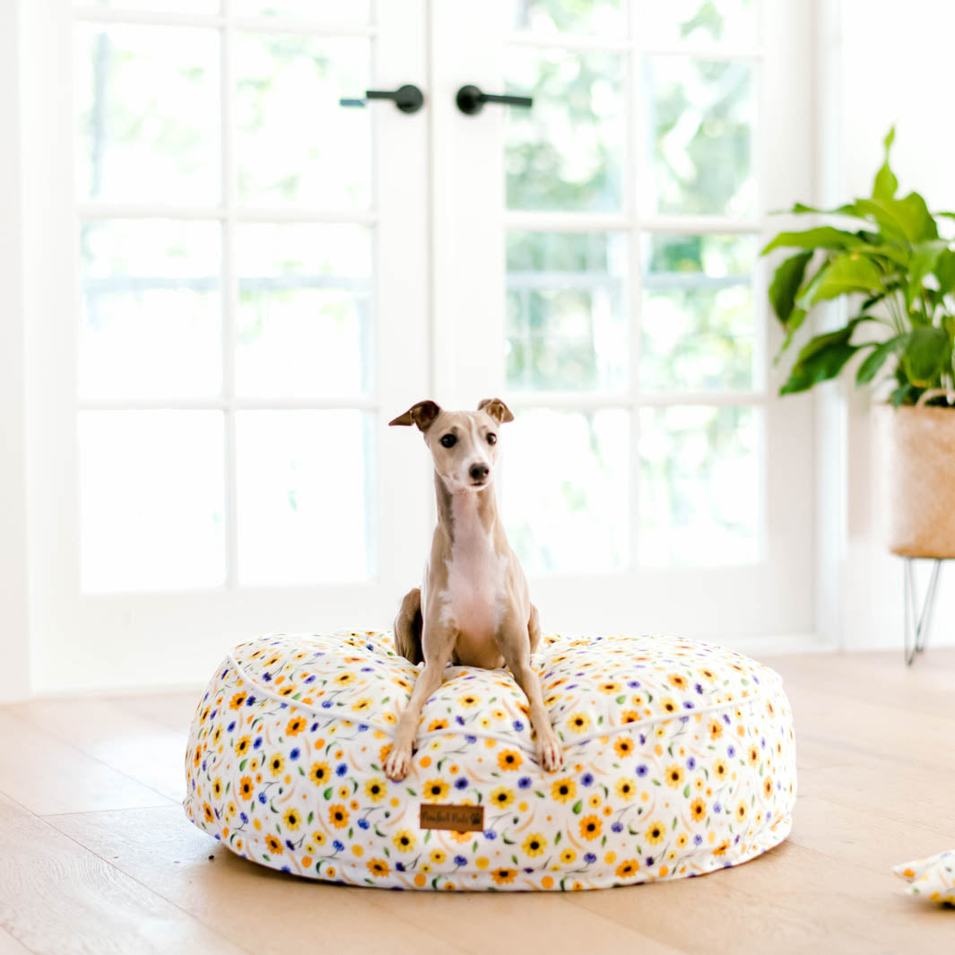 Sunshine on my Mind cuddle bud dog bed in small.