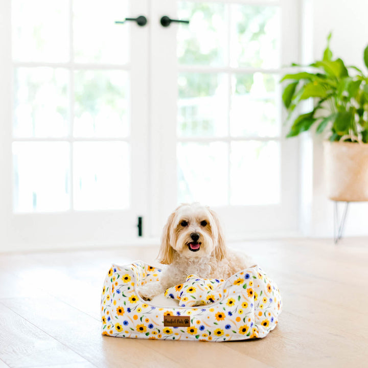Sunshine on my Mind snuggle bud dog bed in small.