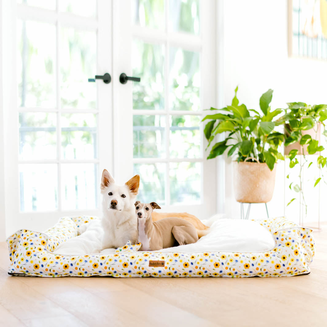 Sunshine on my Mind snuggle bud dog bed in XXL.