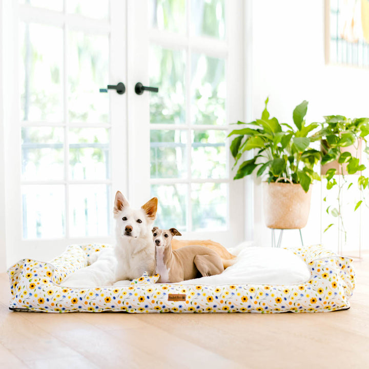 Sunshine on my Mind snuggle bud dog bed in XXL.