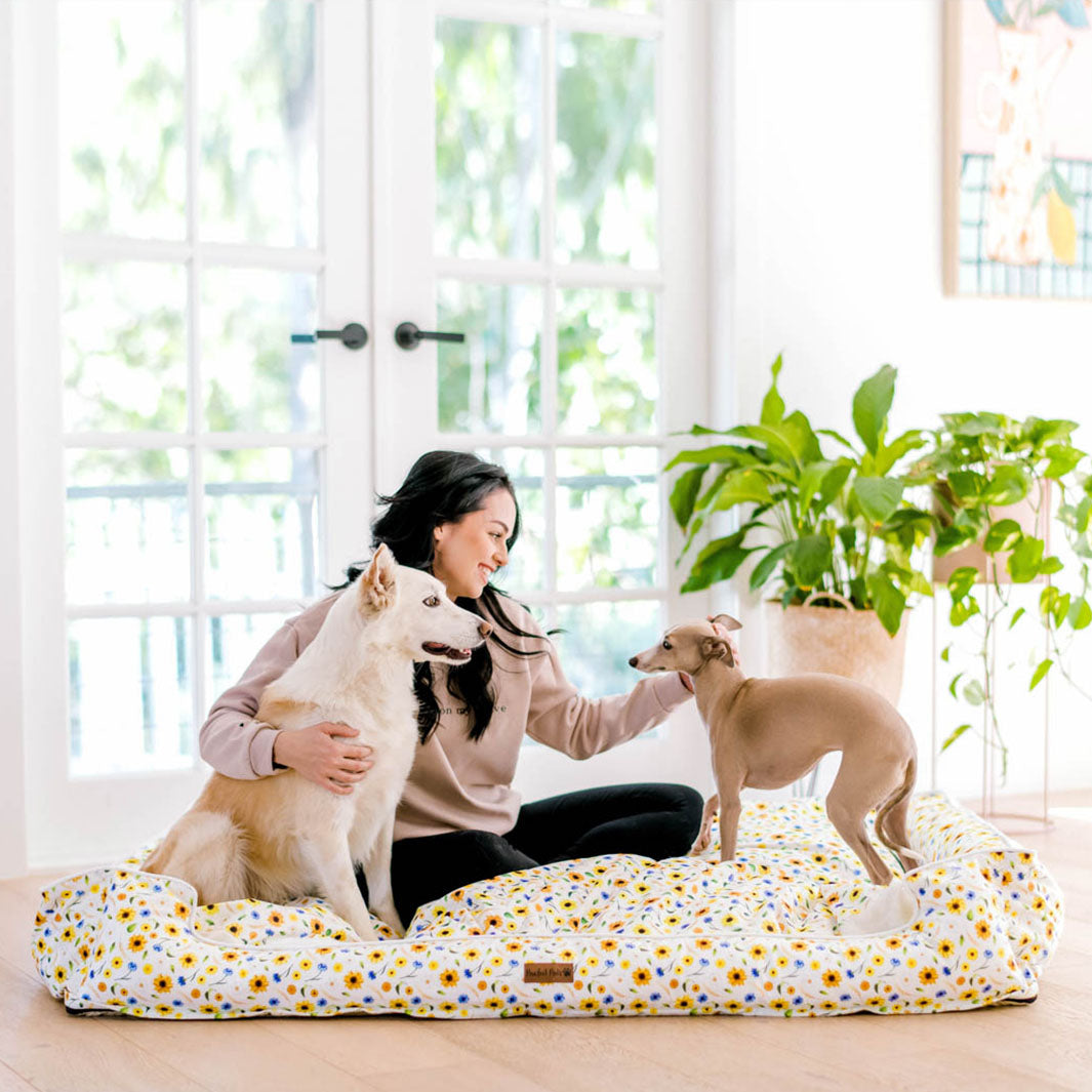 Sunshine on my Mind snuggle bud dog bed in XXL.