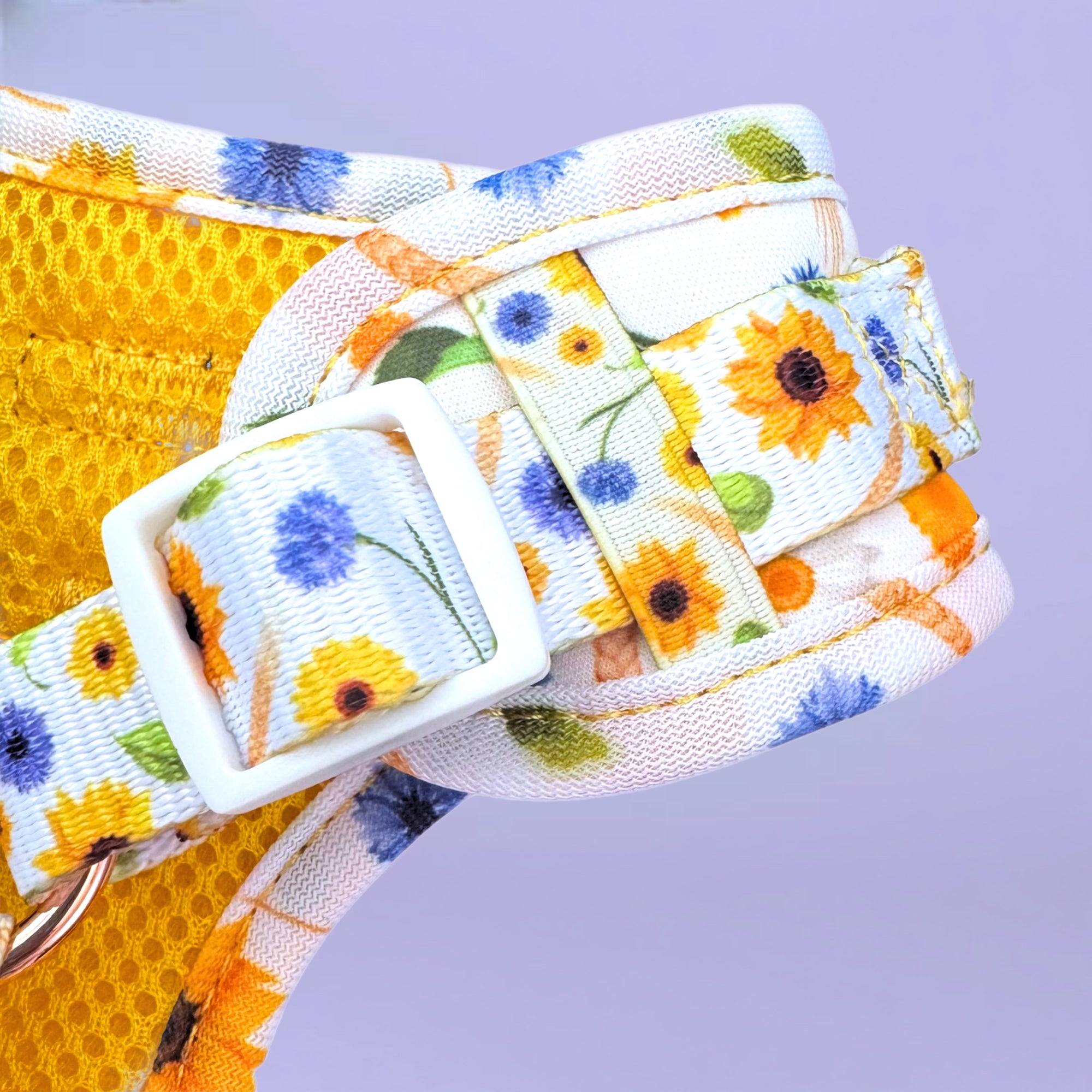 Sunshine on my Mind - No-Pull Adjustable Harness