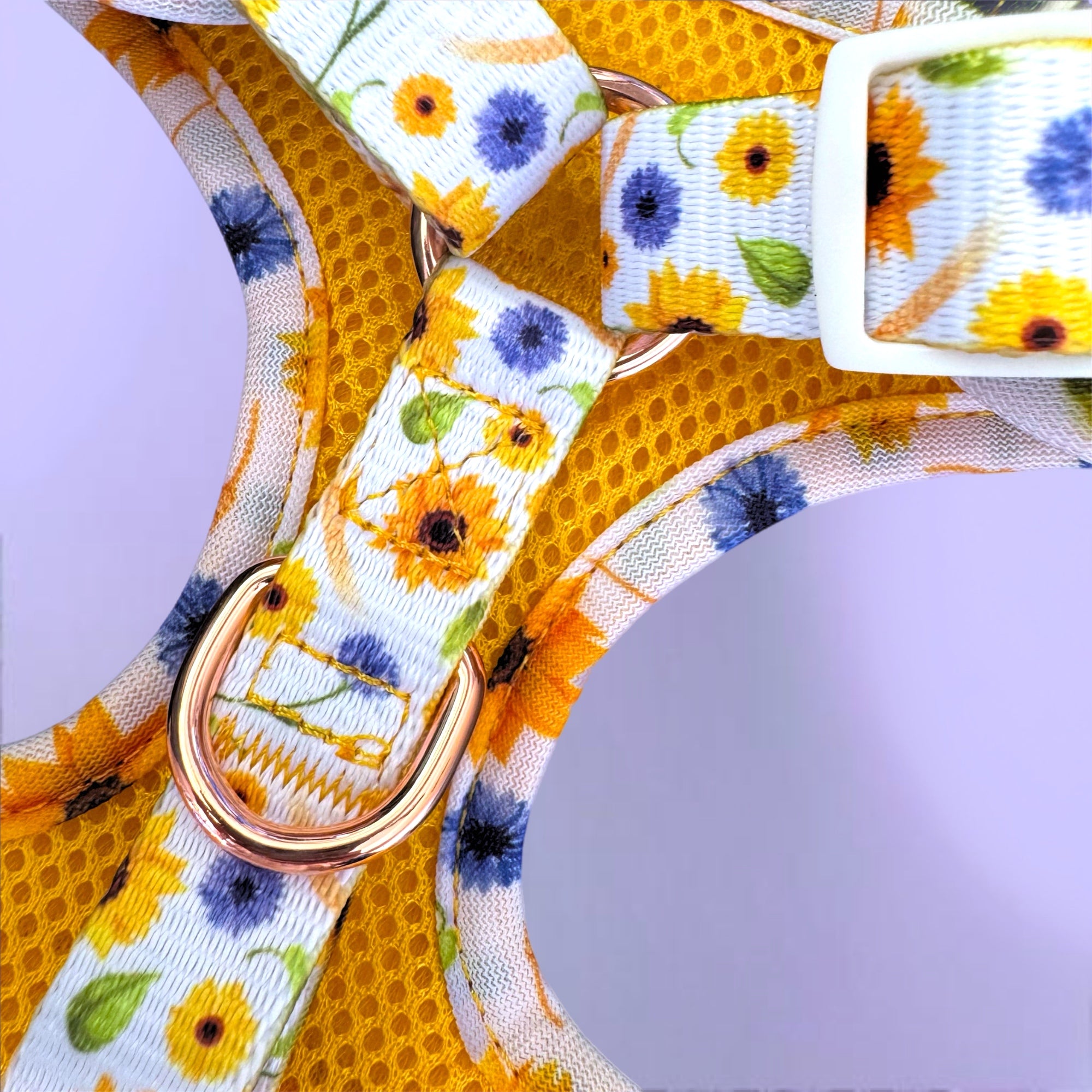 Sunshine on my Mind - Personalised Adjustable Harness Trio