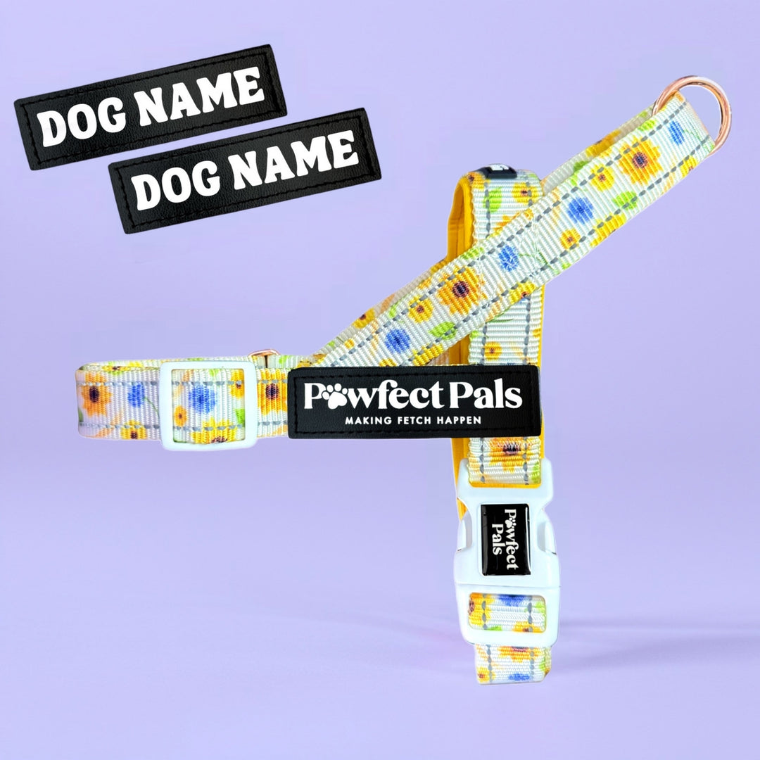 Pawfect Pals personalised strap dog harness with custom name option in colourful printed design
