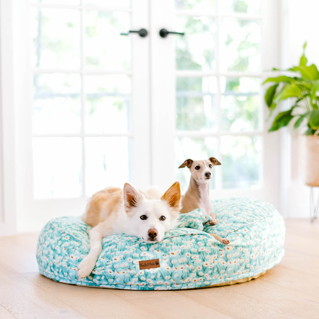 Sweet Like Honey - Daisy Fields cuddle bud dog bed in large.