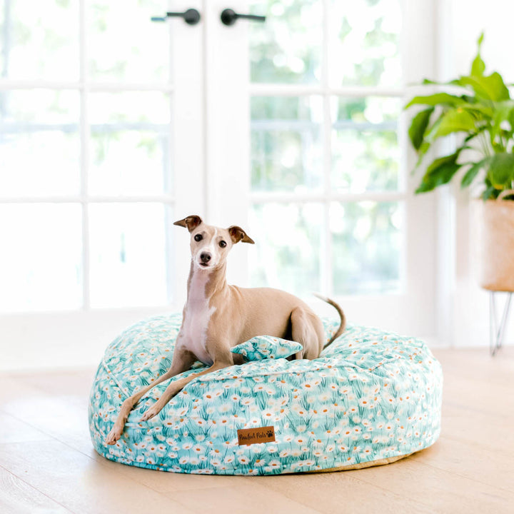 Sweet Like Honey - Daisy Fields cuddle bud dog bed in small.