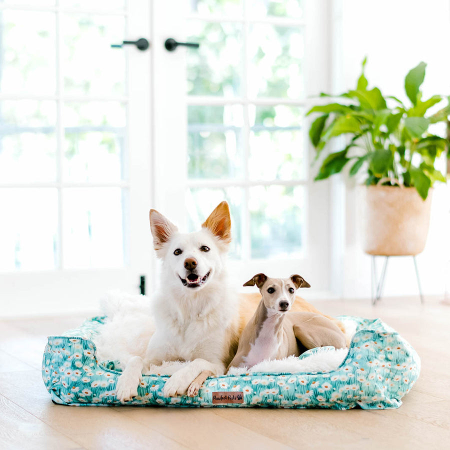 Dog Beds Afterpay Available Pawfect Pals