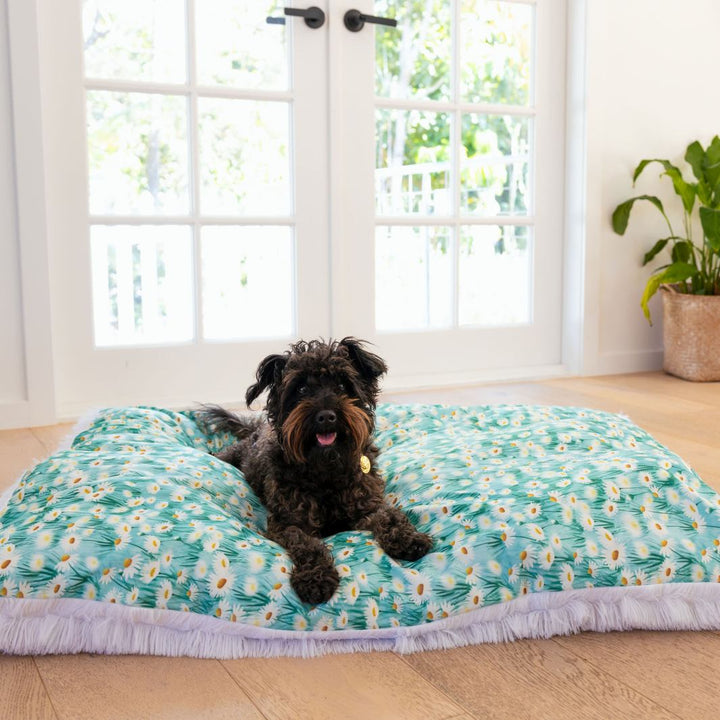 Sweet Like Honey - Daisy Fields Cosy Cloud dog bed.