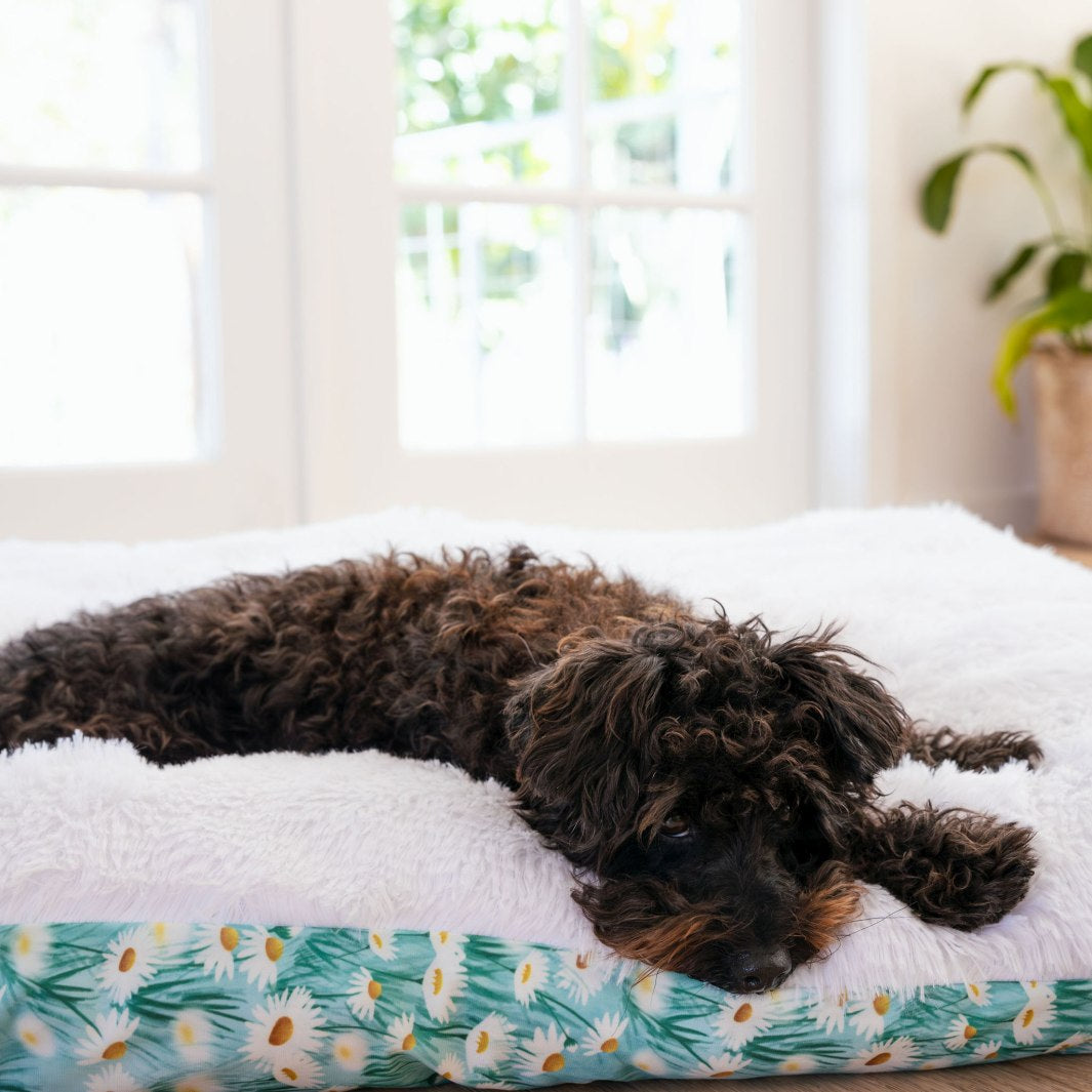 Underside of the Sweet Like Honey - Daisy Fields Cosy Cloud dog bed.