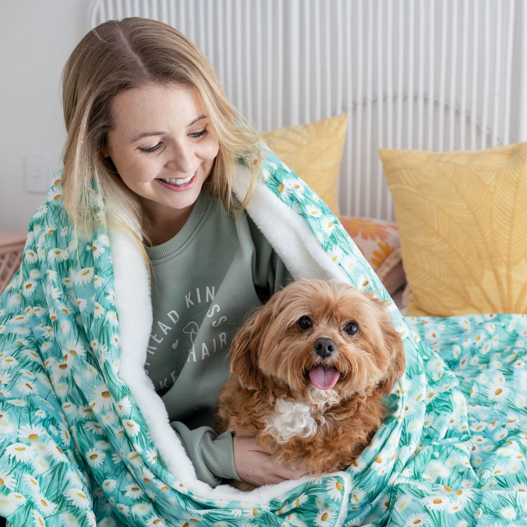 Bertie and Kyla in the Sweet Like Honey - Daisy Fields Dog Blanket and Fur-niture Protector.