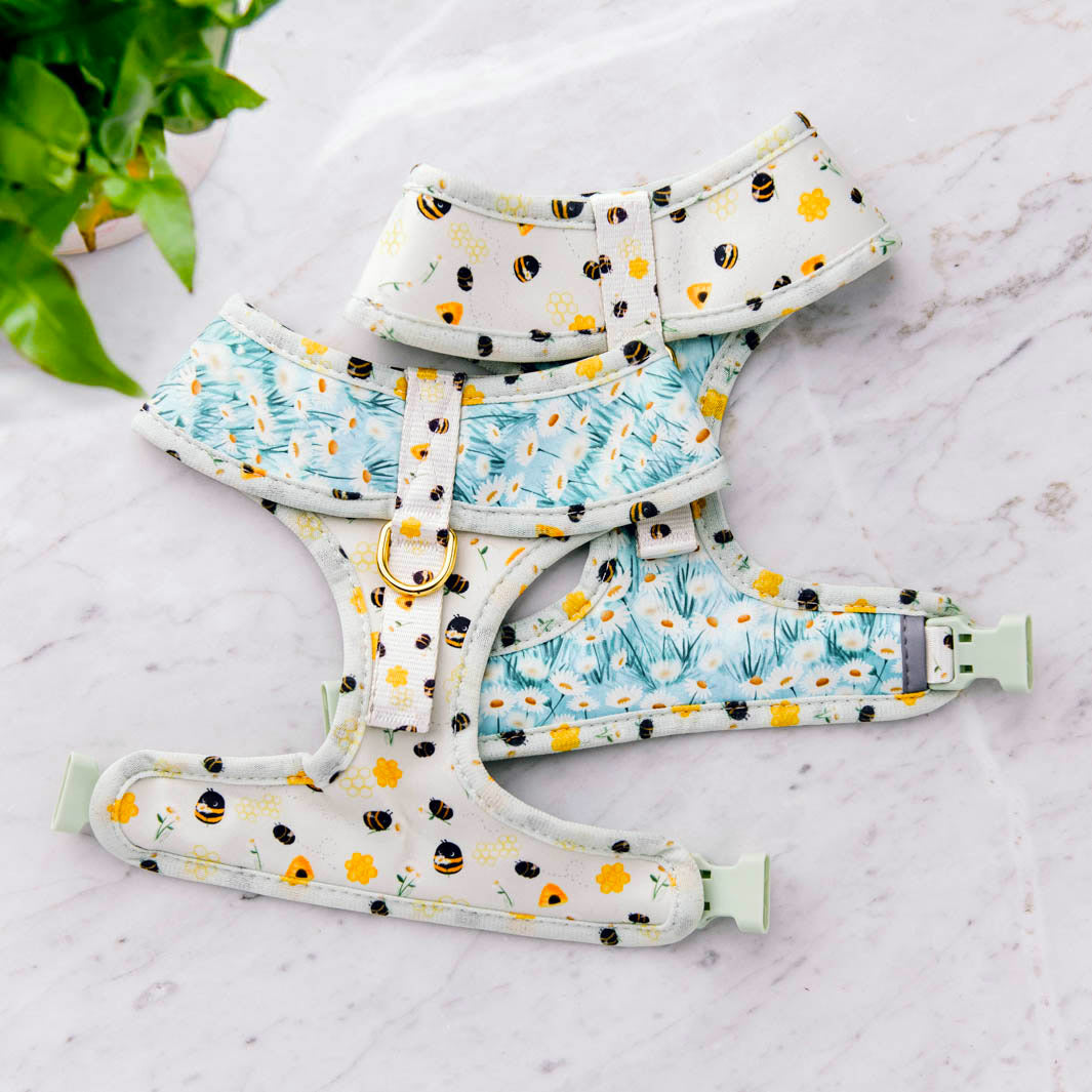 Underside of the Sweet Like Honey reversible dog harness.